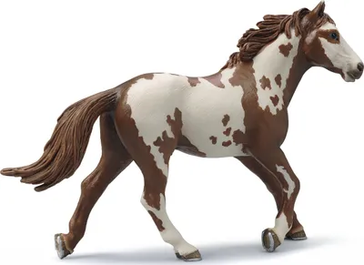 Produktbild von Schleich 13616 Pinto Hengst