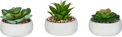 Produktbild von 3er Set Sukkulenten 12cm Beton Deko Blume Kunstpflanze Kunstblume Tischdeko grün