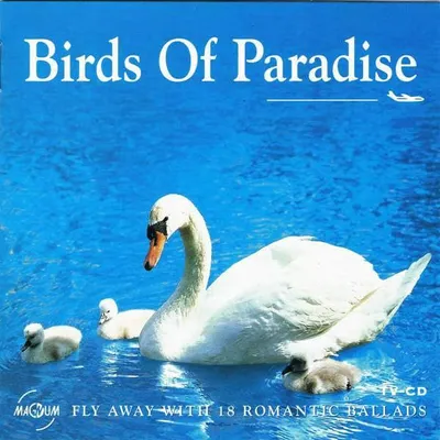 Image de Les oiseaux du paradis