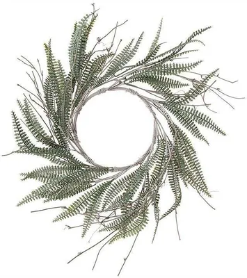 Produktbild von Kranz aus Farnen 18cm