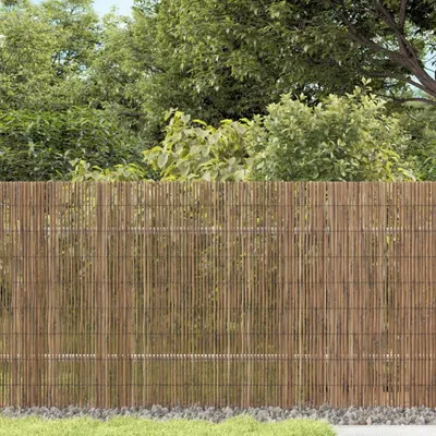 Produktbild von Maison Exclusive - Gartenzaun 300x80 cm Schilf