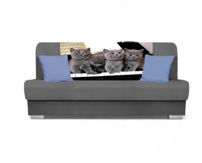 Produktbild von Schlafsofa BIRMA - grau / Katze