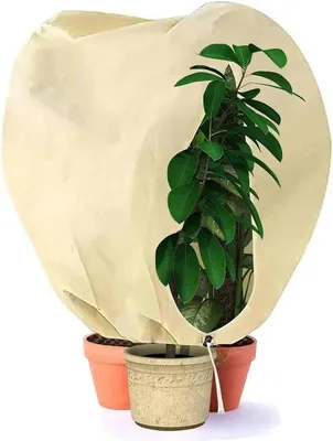 Produktbild von Famanu Pflanzenabdeckung Winter- und Frostschutz - 180 x 120 cm