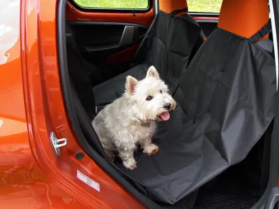 Produktbild von Auto-Hundematte - Hängematte zum Schutz der Rücksitze