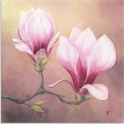 Produktbild von ARTland Wandbild Alu für Innen & Outdoor Späte Magnolie Größe: 40x40 cm