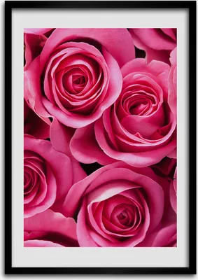 Produktbild von Bild - Bilderrahmen - 50 cm x 70 cm - MDF - Rahmen - Wandkunst Rosa Rosen