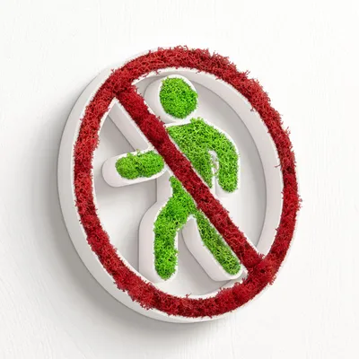 Produktbild von MOOSWERK Natürliches Moos Türschild Selbstklebend Moosschild | Moosbild Deko für Privat Weiß | Nachhaltige Wanddeko Innenbereich