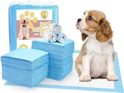 Produktbild von Famanu Puppy Pads 50 Stück - Super Absorbierende Wegwerf-Trainingspads - 60 x 45 cm