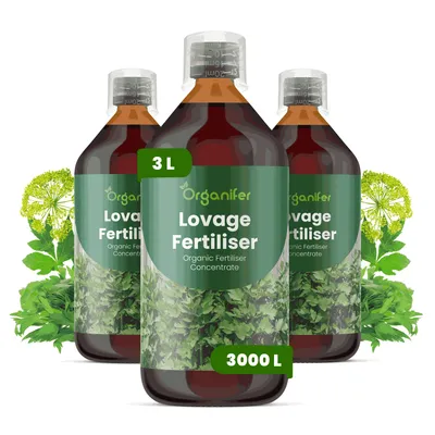 Produktbild von Liebstöckel Flüssigdünger 3x1L – 2-1-8 NPK – Flüssig-Pflanzendünger für Liebstöckel – Organifer
