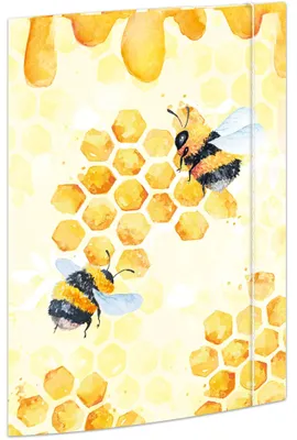Produktbild von RNK Sammelmappe Honey DIN A4 Gummizug 240x330mm