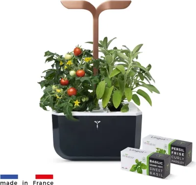 Produktbild von Véritable Exky SMART - Automatisches Pflanzgefäß mit Lichtsteuerung, schwarzes Kupfer 2 Kräuternachfüllungen