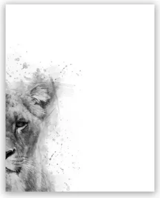 Produktbild von TPFLiving Kunstdruck LW-806 (OHNE RAHMEN) Poster - Leinwand - Wandbild - Hochauflösender Giclée-Druck, langlebig und hochwertig - Graues Löwenpaar vor weißem Hintergrund - Größe: 30x45cm