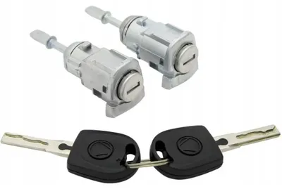 Immagine prodotto di Set Cilindro Chiusura Portiera Techstar, Compatibile VW Golf 4, Bora, Passat B5, Polo 9N, Skoda Octavia, Fabia, Audi A6 C5, Equiv 1U0837167E