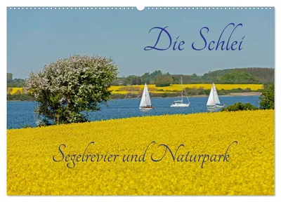 Produktbild von Die Schlei - Segelrevier und Naturpark (Wandkalender 2027 DIN A2 quer), CALVENDO Monatskalender