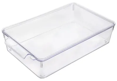 Imagen del producto de Organizador para nevera con tapa - Plástico - 32,5 x 20 x 7,5 cm
