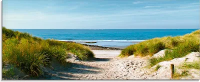 Produktbild von ARTland Glasbild Strand mit Sanddünen und Weg zur See Größe: 125x50 cm