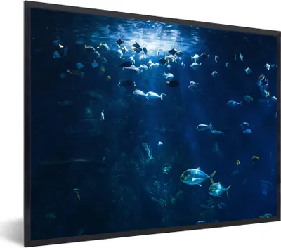 Produktbild von MuchoWow® Gerahmtes Poster Angeln in einem Aquarium in Norwegen 40x30 cm - Poster mit Schwarzem Bilderrahmen Wandposter Rahmen Foto Bilder - Kunstposter - Wanddekorationen