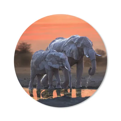 Produktbild von MuchoWow® Mauspad Mousepad Elefant - Tiere - Sonnenuntergang - Wasser - Orange 40x40 cm - Mousepads - Maus Mat - Pad - Mausunterlage - Schreibtisch Accessoires