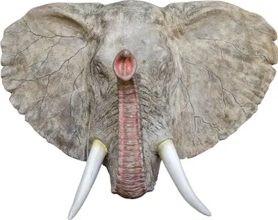 Produktbild von Casa Padrino Deko Wandfigur Elefant Grau 215 x 67 x H. 170 cm - Luxus Wanddekoration