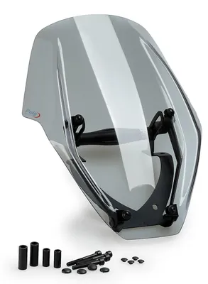 Produktbild von Windschild Puig New Generation Verstellbar 375 x 270 mm mit ABE für Ducati Diavel V4 Bj. 2024 - 2026