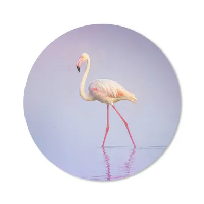 Produktbild von MuchoWow® Mauspad Mousepad Flamingo - Wasser - Rosa 30x30 cm - Mousepads - Maus Mat - Pad - Mausunterlage - Tischunterlage - Schreibtischmatten