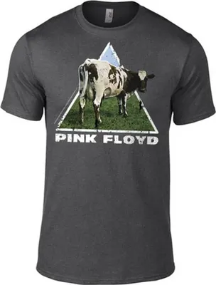 Obrázek produktu pro Pink Floyd - Tričko Atom Heart Dark Grey