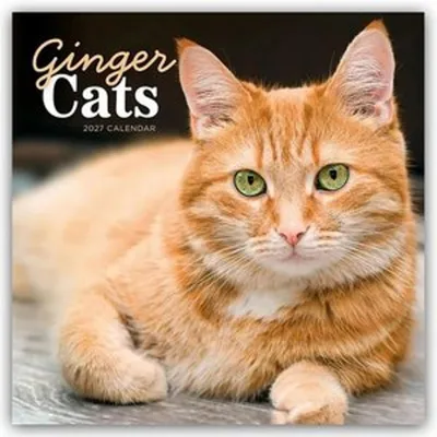 Image de Chats roux - Calendrier mural pour 2027