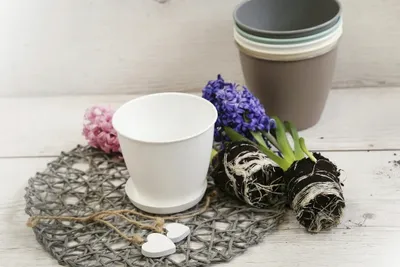 Zdjęcie produktu dla Podstawka pod doniczkę Verdenia 13 cm tworzywo sztuczne biała