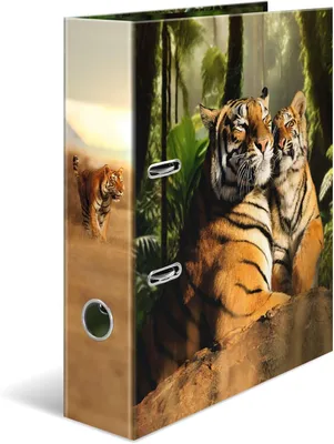 Produktbild von HERMA 20101  Ordner A4 Tiger, 7 cm breit, Kinder Ringordner mit Tier Motiv, bunter Aktenordner mit Innendruck für Jungen und Mädchen