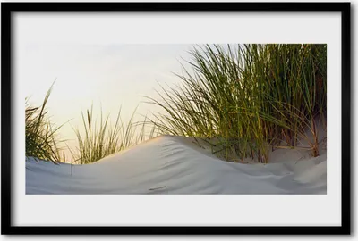 Produktbild von Bild 60x40 MDF-Rahmen Wandkunst Sand Gras Landschaft