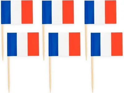 Several small French flags on toothpicks are arranged in a grid against a white background.