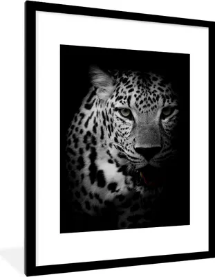 Produktbild von MuchoWow® Gerahmtes Poster Tiere - Schwarz - Weiß - Panther - Porträt 60x80 cm - Poster mit Schwarzem Bilderrahmen Wandposter Rahmen Foto Bilder - Wohnzimmer - Dekorationen - Prämie