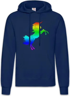 Produktbild von Urban Backwoods Rainbow Unicorn, Herren Hoodie, Farbe: Navy, Größe: L