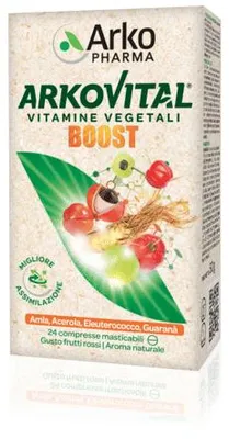 Produktbild von ARKOVITAL BOOST, 24 Tabletten