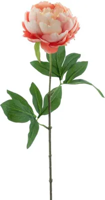 Produktbild von artplants.de Deko Pfingstrose TALFY, rosa-Creme, 65cm - Kunst Pfingstrose