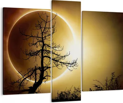 Produktbild von Bild auf Leinwand - Leinwandbild - 3 Teile - Sonnenfinsternis die Sonne Baum - 95x80cm - Wand Bild - Wanddeko - Wandbilder - Leinwanddruck - Bilder - Wanddekoration - Leinwand bilder - CB95x80-4349
