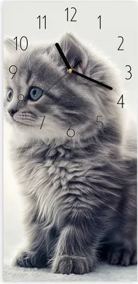 Produktbild von Wanduhr aus Glas mit Motiv Kitten Portrait- 30 x 60 cm - inkl. Aufhängesystem