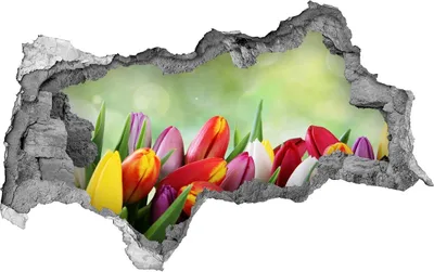 Produktbild von Selbstklebender Loch-3D-Aufkleber 95x73 cm bunte Tulpen