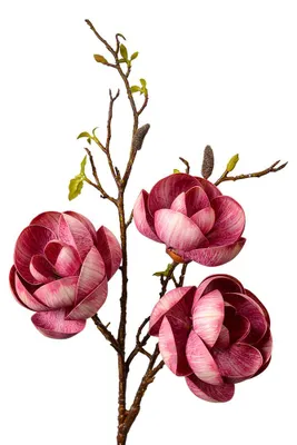 Image de Clayre & Eef fleur artificielle 106 cm rose plastique