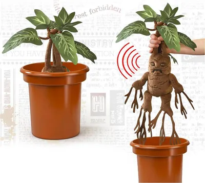 Produktbild von Noble Collection Harry Potter Mandrake Interaktiver Teddy Mehrfarbig  Mehrfarbig One Size