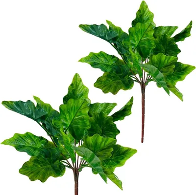 Image de Alocasia vert - Bouquet de feuilles d'Alocasia, tige de 38 cm