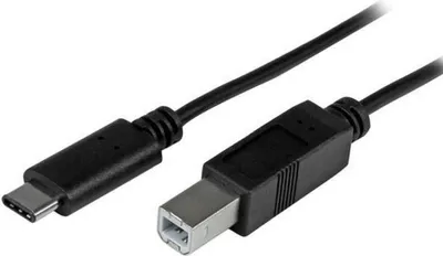 Image de StarTech.com 2m 6ft USB C to USB B Cable - USB 2.0 - USB Type C Printer Cable M/M - USB 2.0 Type-C to Type-B Cable (USB2CB2M) - USB-Kabel - 24 pin USB-C (M) zu USB Typ B (M) - Thunderbolt 3 / USB 2.0 - 2 m - Schwarz