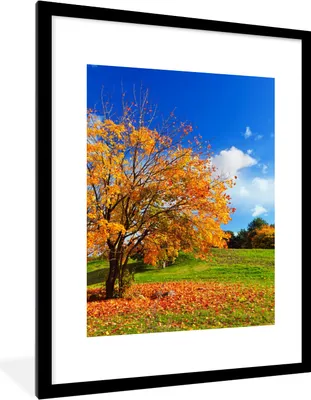 Produktbild von MuchoWow® Gerahmtes Poster Baum - Blätter - Herbst - Jahreszeiten 60x80 cm - Poster mit Schwarzem Bilderrahmen Wandposter Rahmen Foto Bilder - Wohnzimmer - Dekorationen - Prämie
