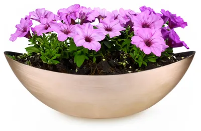 Image de Grande jardinière d'extérieur vintage ovale 55 cm or-couleur