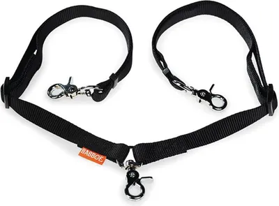 Immagine prodotto di Guinzaglio doppio per cani Babboe HWWX-0800 (set di aggancio) compatibile con Dog Dog-E, Go Go-E e Mountain HWWX-0800