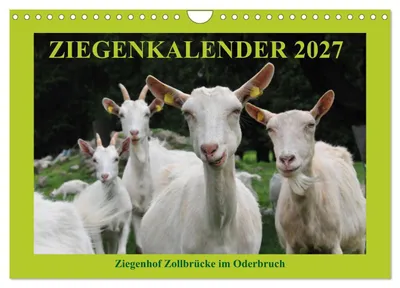 Produktbild von Ziegenkalender 2027 (Wandkalender 2027 DIN A4 quer), CALVENDO Monatskalender