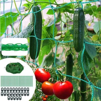 Obrázek produktu pro Klimnet 2 m x 5 m pro okurky a rajčata s 25 svorkami a 50 sponkami