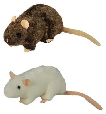 Immagine prodotto di Ratto 20 cm MIX - Dubi