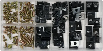 Immagine prodotto di Kit di fissaggi per carrozzeria – 170 pezzi, zincati e bruniti, con scatola di smistamento