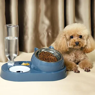 Produktbild von Futternapf mit Wasserspender 2in1 für Katzen und Hunde